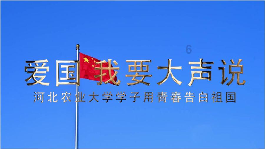 年猪的“馈赠”